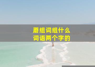 蘑组词组什么词语两个字的