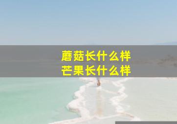 蘑菇长什么样芒果长什么样