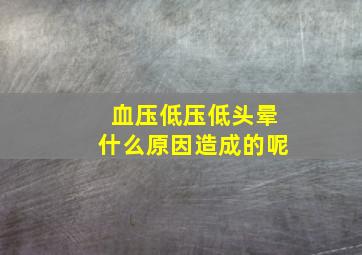 血压低压低头晕什么原因造成的呢