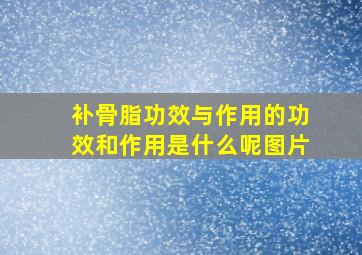 补骨脂功效与作用的功效和作用是什么呢图片