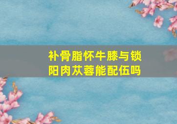 补骨脂怀牛膝与锁阳肉苁蓉能配伍吗