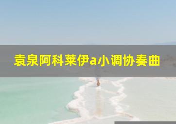 袁泉阿科莱伊a小调协奏曲