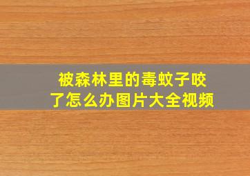 被森林里的毒蚊子咬了怎么办图片大全视频