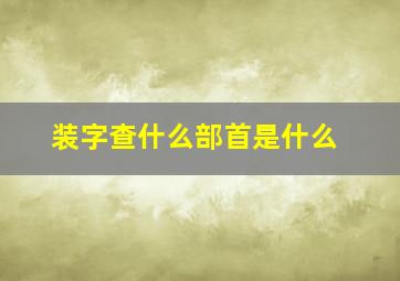 装字查什么部首是什么