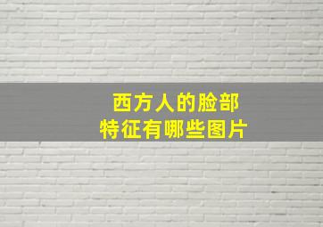 西方人的脸部特征有哪些图片