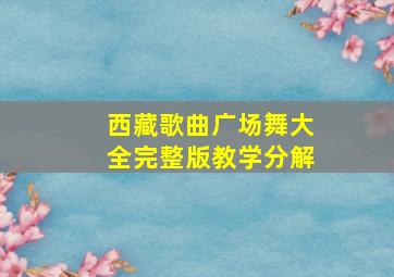 西藏歌曲广场舞大全完整版教学分解