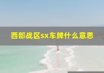 西部战区sx车牌什么意思