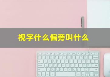 视字什么偏旁叫什么