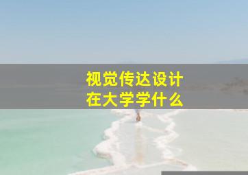 视觉传达设计在大学学什么