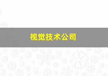 视觉技术公司