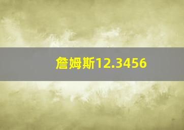 詹姆斯12.3456