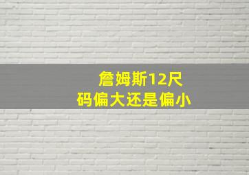 詹姆斯12尺码偏大还是偏小