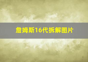 詹姆斯16代拆解图片