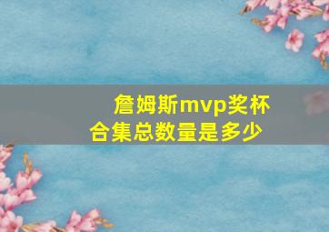 詹姆斯mvp奖杯合集总数量是多少