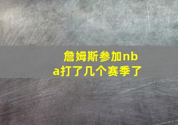 詹姆斯参加nba打了几个赛季了