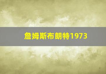 詹姆斯布朗特1973