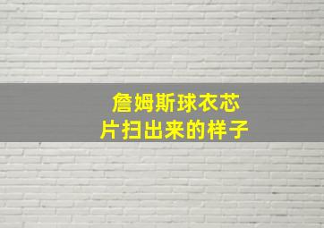 詹姆斯球衣芯片扫出来的样子