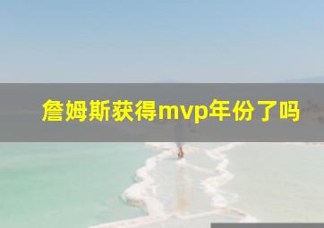 詹姆斯获得mvp年份了吗