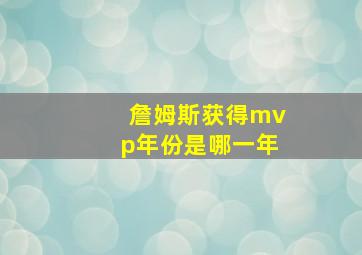 詹姆斯获得mvp年份是哪一年