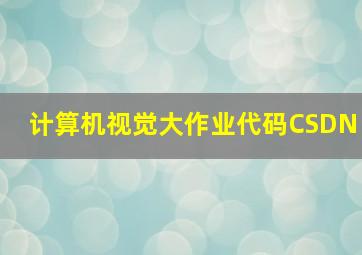 计算机视觉大作业代码CSDN