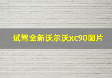 试驾全新沃尔沃xc90图片