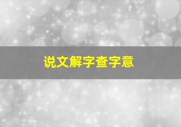 说文解字查字意