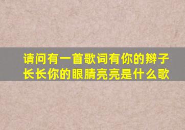 请问有一首歌词有你的辫子长长你的眼腈亮亮是什么歌