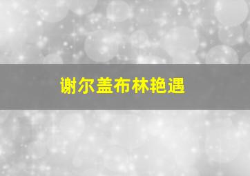 谢尔盖布林艳遇