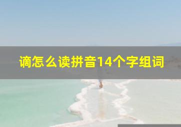 谪怎么读拼音14个字组词