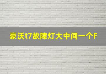 豪沃t7故障灯大中间一个F