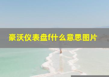 豪沃仪表盘f什么意思图片