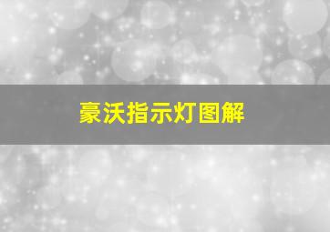 豪沃指示灯图解