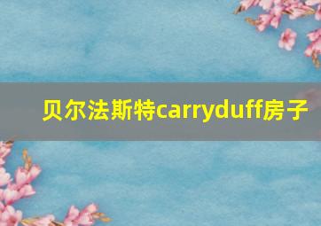 贝尔法斯特carryduff房子