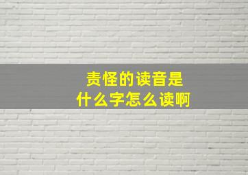 责怪的读音是什么字怎么读啊