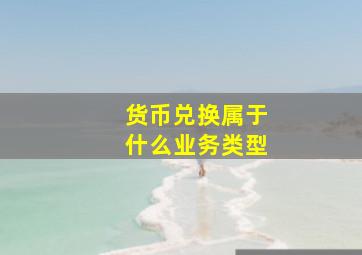 货币兑换属于什么业务类型