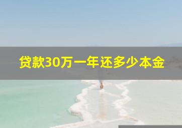 贷款30万一年还多少本金