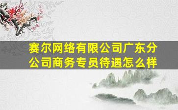 赛尔网络有限公司广东分公司商务专员待遇怎么样