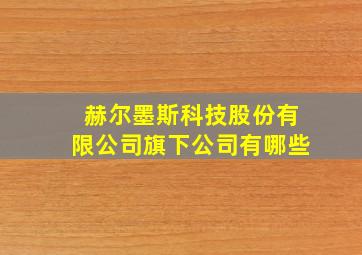 赫尔墨斯科技股份有限公司旗下公司有哪些