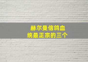 赫尔曼信鸽血统最正宗的三个