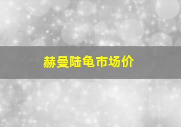 赫曼陆龟市场价