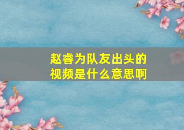 赵睿为队友出头的视频是什么意思啊