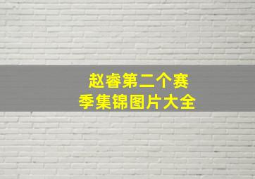 赵睿第二个赛季集锦图片大全