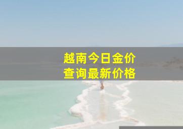 越南今日金价查询最新价格