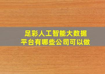 足彩人工智能大数据平台有哪些公司可以做