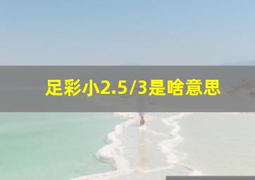 足彩小2.5/3是啥意思