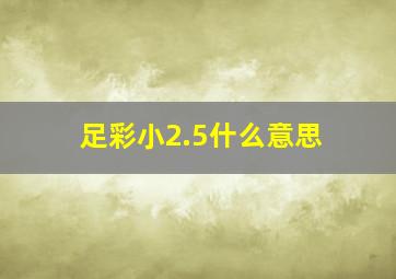 足彩小2.5什么意思