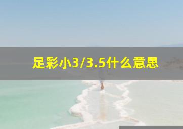 足彩小3/3.5什么意思