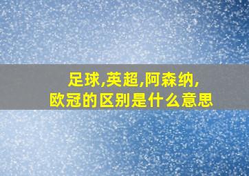 足球,英超,阿森纳,欧冠的区别是什么意思