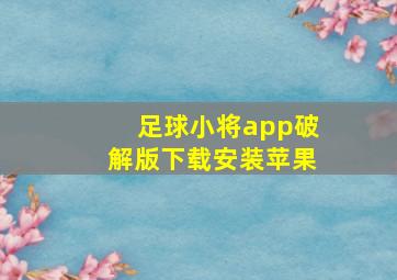 足球小将app破解版下载安装苹果