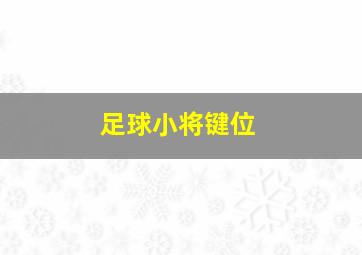 足球小将键位